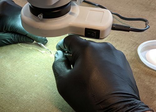 Malerikonservering  når kunst trenger profesjonell omsorg