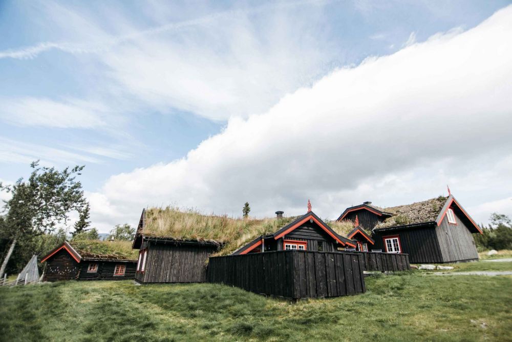 Sprøytesåing  effektiv etablering av nytt gress